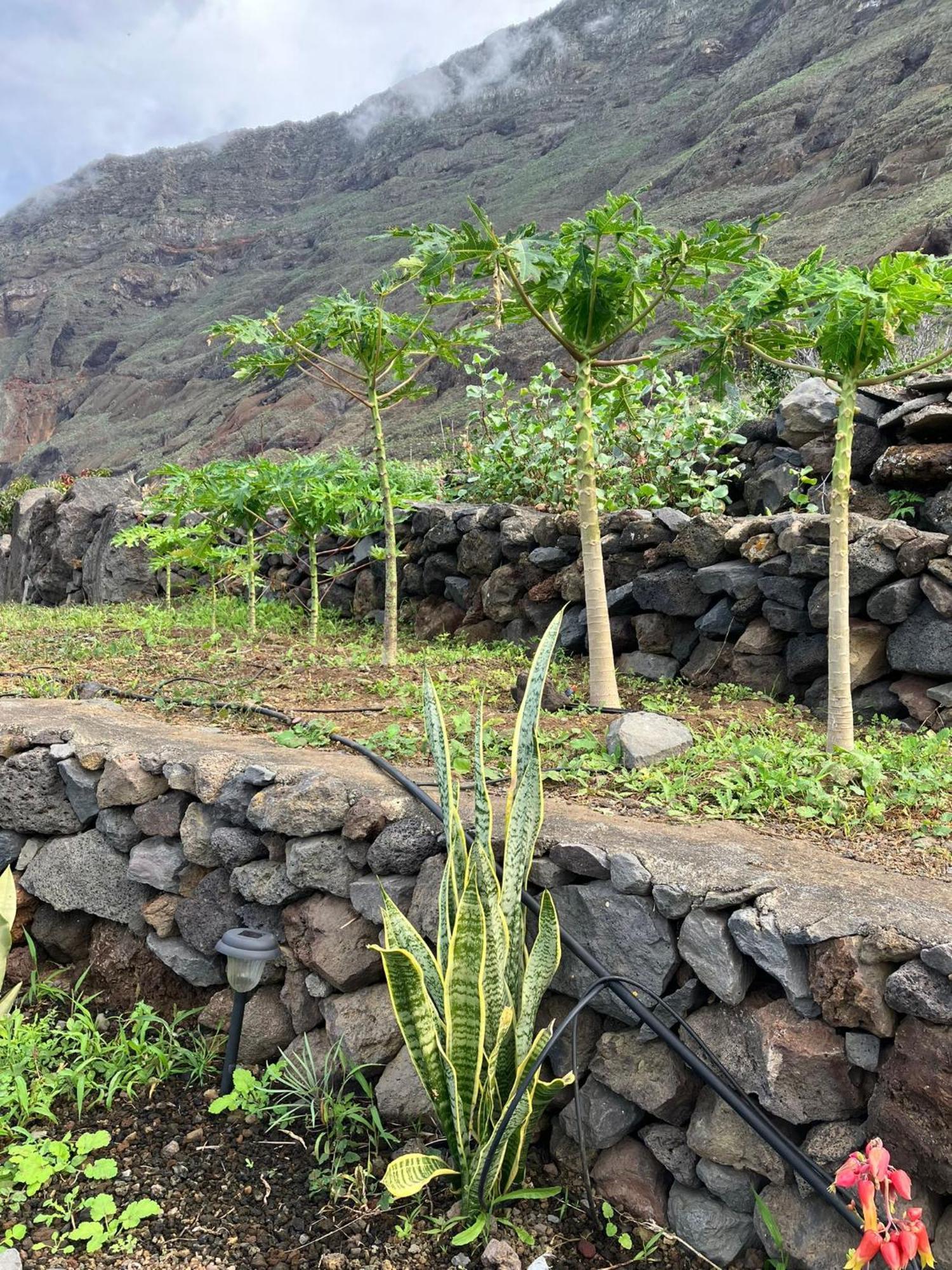 Casa Nela. Rural Y Acogedora En Las Puntas El Hierro Frontera Exterior photo